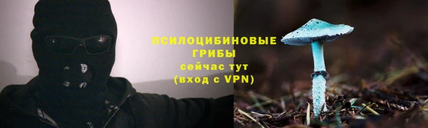 спиды Абдулино